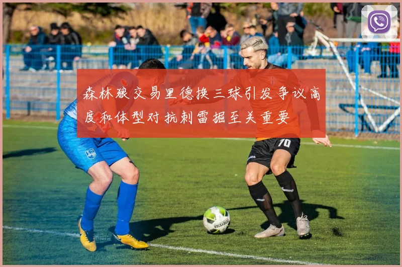 森林狼交易里德换三球引发争议高度和体型对抗刺雷掘至关重要