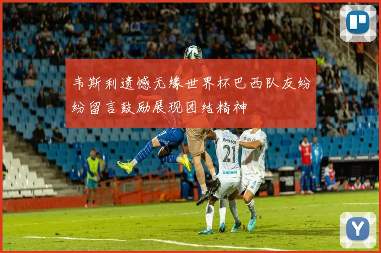 韦斯利遗憾无缘世界杯巴西队友纷纷留言鼓励展现团结精神