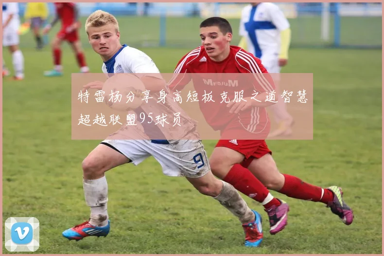 特雷杨分享身高短板克服之道智慧超越联盟95球员